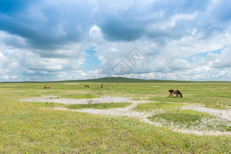 内蒙古草原小溪乌拉盖高清图片