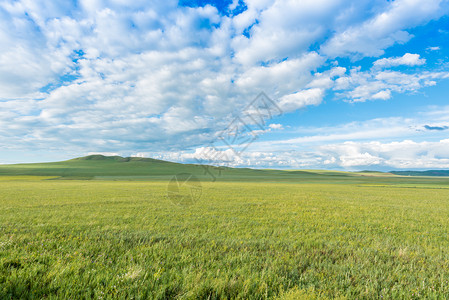 乌拉尔语乌拉盖草原背景