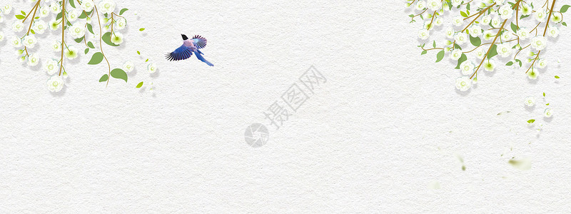蓝背鹦鹉小清新七夕花瓣背景设计图片