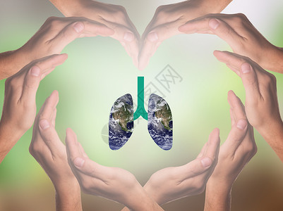 地球之肺保护肺活动设计图片