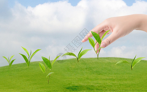 绿色苗栽种绿色植物设计图片