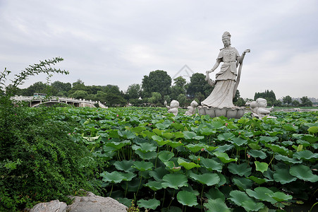 女性雕像南京玄武湖荷花池莲花仙子雕像背景