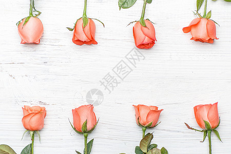 温馨浪漫玫瑰花背景图片