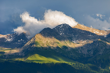 新疆特克斯草原雪山森林背景图片
