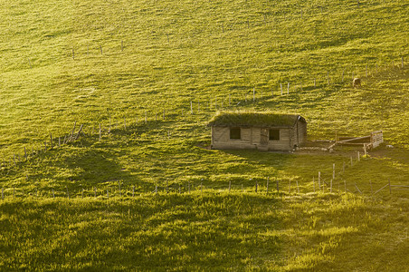 金色的光素材新疆特克斯草原日落木屋背景