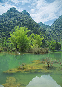 清澈的泉水夏日广西靖西鹅泉恬静风光背景