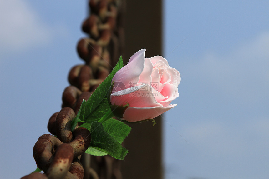 铁锁与鲜花：永恒的爱图片