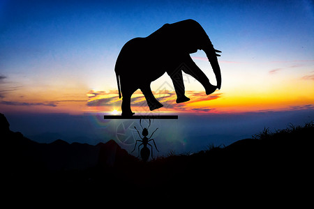 大象喝水举起大象的蚂蚁设计图片