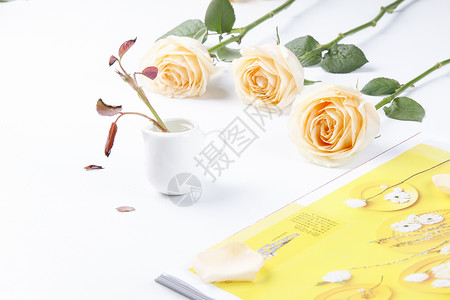 桌面上的书玫瑰花场景背景