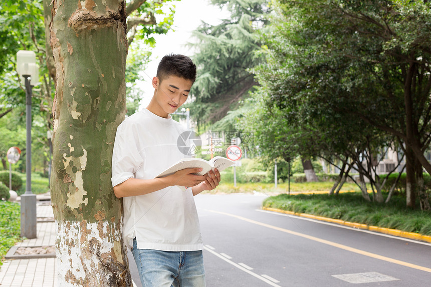 拿着书站在校园树下看书的男生图片