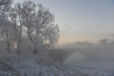 新华桥 雾凇图片