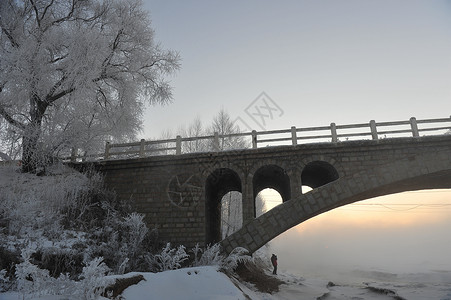 新华桥 雾凇背景图片