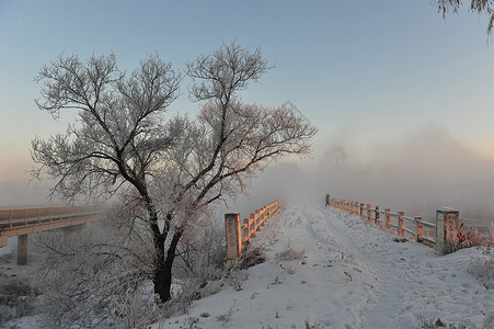 雪中的桥图片