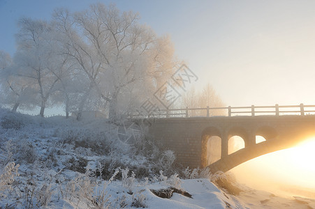 雪中的桥图片