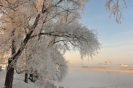 雪中的桥背景图片