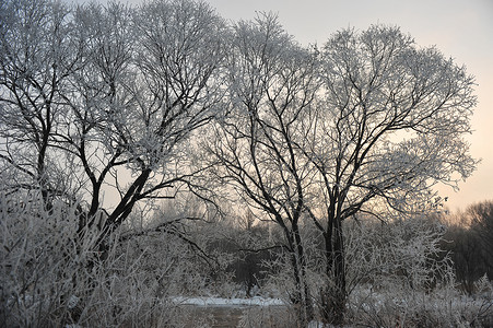 雪景图片