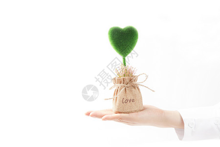 爱心绿植爱心礼物袋高清图片
