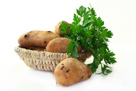 芹菜和土豆背景图片