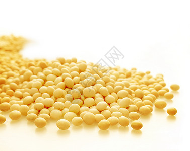 黄豆食物原料熟黄豆高清图片