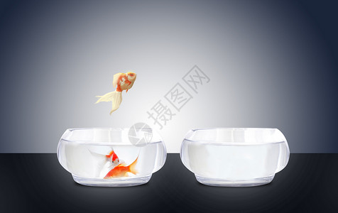 鱼杂从鱼缸跳跃出来金鱼素材背景设计图片