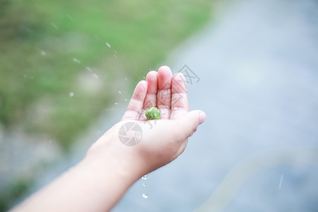 举着球小孩子雨天伸手拿果实的小女孩背景