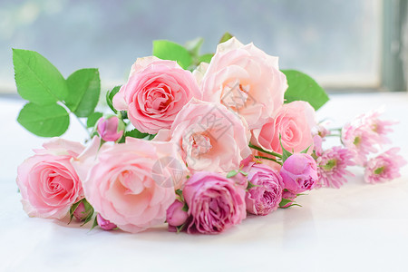 花朵超清素材七夕粉红色爱情玫瑰花背景