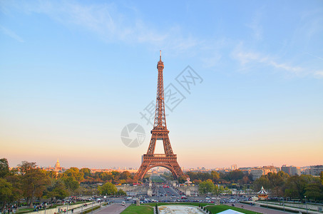 巴黎铁塔法国万寿菊高清图片