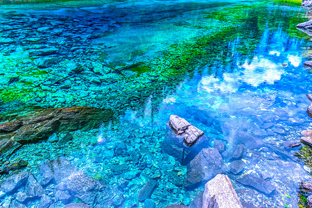 鱼水草九寨沟五彩池背景