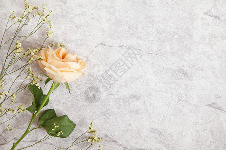 手绘花卉纹理玫瑰花背景图片背景
