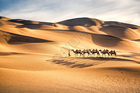 沙漠驼队沙漠人参高清图片