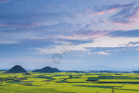 多彩春天云南罗平县油菜花海晚霞背景