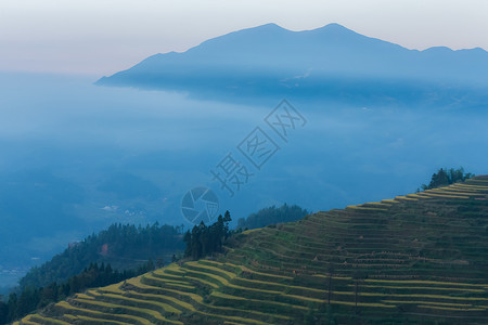 山峰层次湖南紫鹊界梯田云海自然美景背景