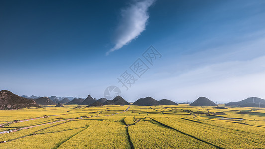 视野开阔云南罗平县油菜花海背景