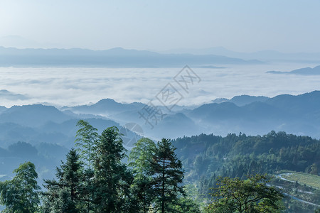 面朝湖南紫鹊界云海背景