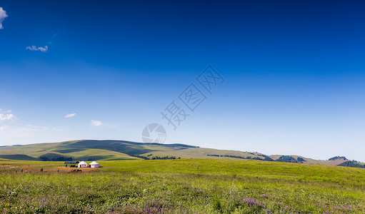 新疆喀拉峻草原美景背景图片