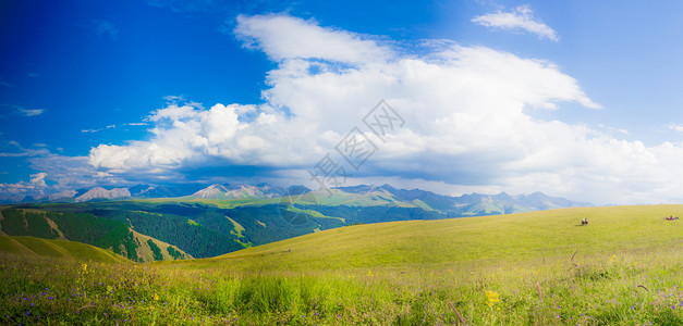 新疆喀拉峻草原美景背景图片