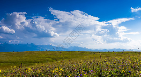 秀美大气新疆喀拉峻草原美景背景