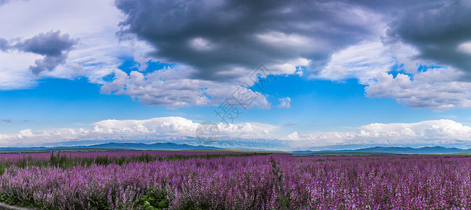 秀美大气新疆喀拉峻草原美景背景