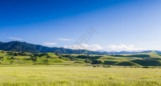草甸新疆那拉提草原美景背景