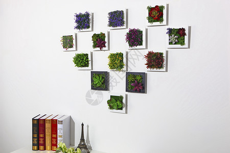 植物花藤相框花框背景