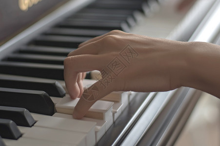 弹钢琴的手音乐琴键高清图片