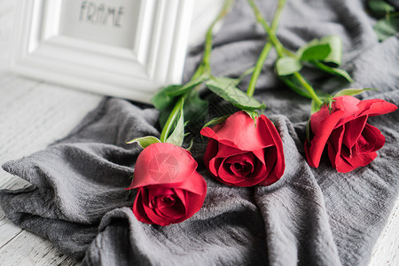 玫瑰花相框红色玫瑰花朵背景