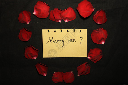 爱的表白：Marry me ?图片