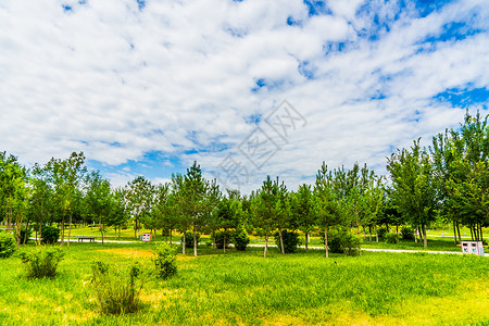 草地休憩新疆昌吉街景背景