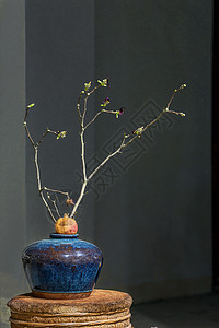 多子花瓶、石榴与树枝背景