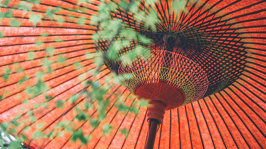 日本特色文化和伞背景图片