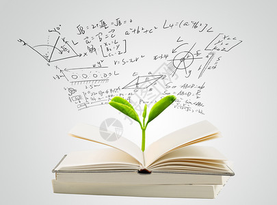 书中飘出的绿叶书中的方程式背景