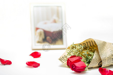 浪漫玫瑰花白色鲜花相框高清图片