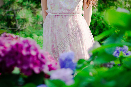夏日花丛少女背景图片