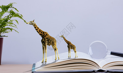虚拟与现实长颈鹿雕像高清图片